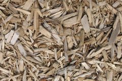 biomass boilers Treforgan